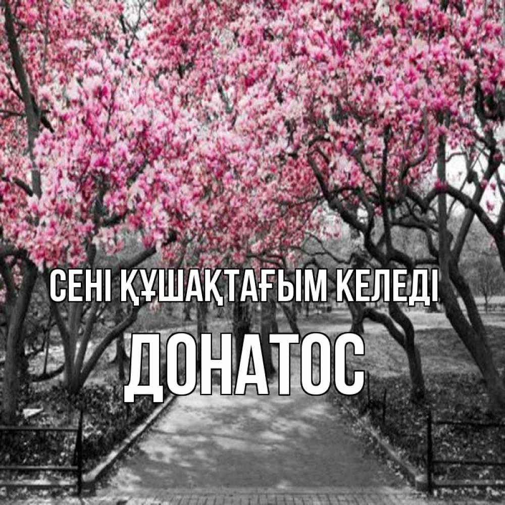 Күн сайын ашық хат с именем, Донатос сені құшақтағым келеді обработанное фото Онлайн тегін жүктеп алу тілектері бар керемет карта 