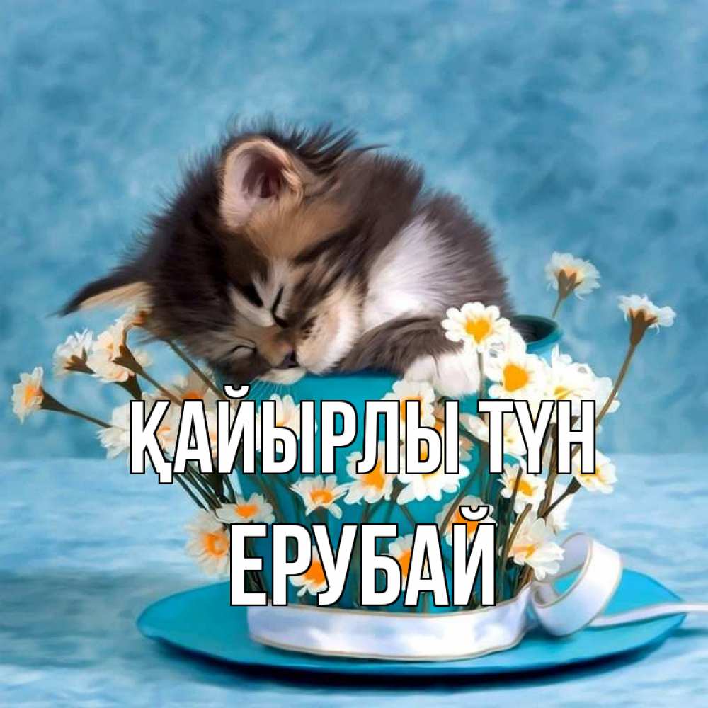 Күн сайын ашық хат с именем, Ерубай Қайырлы түн котенок спит в кружке с блюдцем Онлайн тегін жүктеп алу тілектері бар керемет карта 