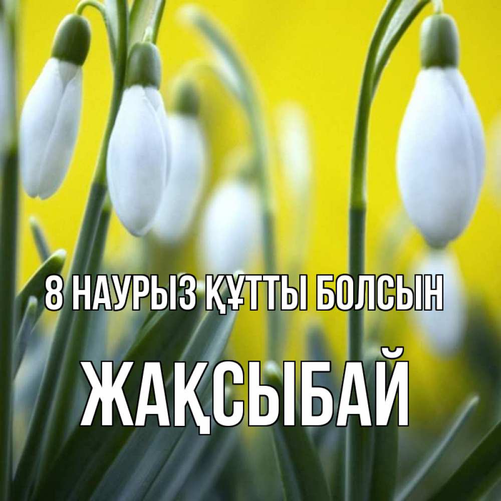 Күн сайын ашық хат с именем, Жақсыбай 8 наурыз құтты болсын весенние цветы Онлайн тегін жүктеп алу тілектері бар керемет карта 
