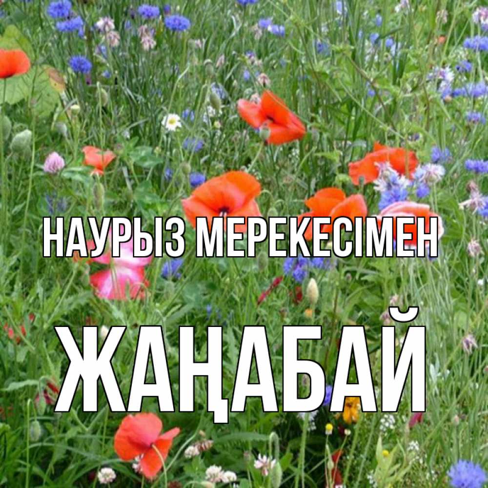 Күн сайын ашық хат с именем, Жаңабай Наурыз мерекесімен праздник весны наурыз супер открытка Онлайн тегін жүктеп алу тілектері бар керемет карта 