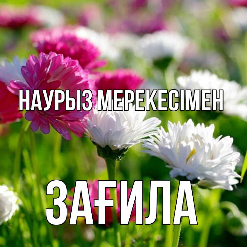 Күн сайын ашық хат с именем, ЗАҒИЛА Наурыз мерекесімен праздник весны наурыз красота Онлайн тегін жүктеп алу тілектері бар керемет карта 