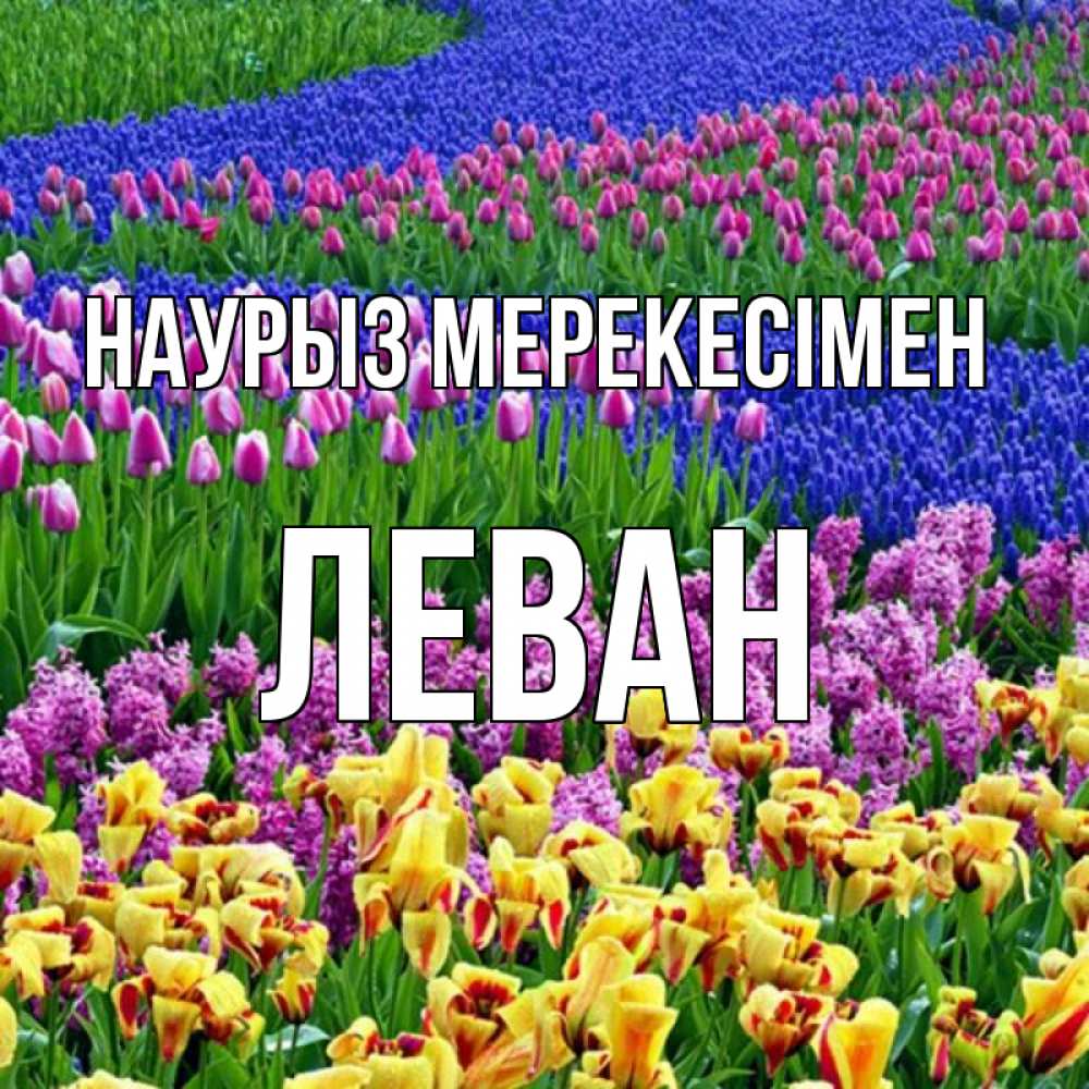 Күн сайын ашық хат с именем, Леван Наурыз мерекесімен цветы Онлайн тегін жүктеп алу тілектері бар керемет карта 