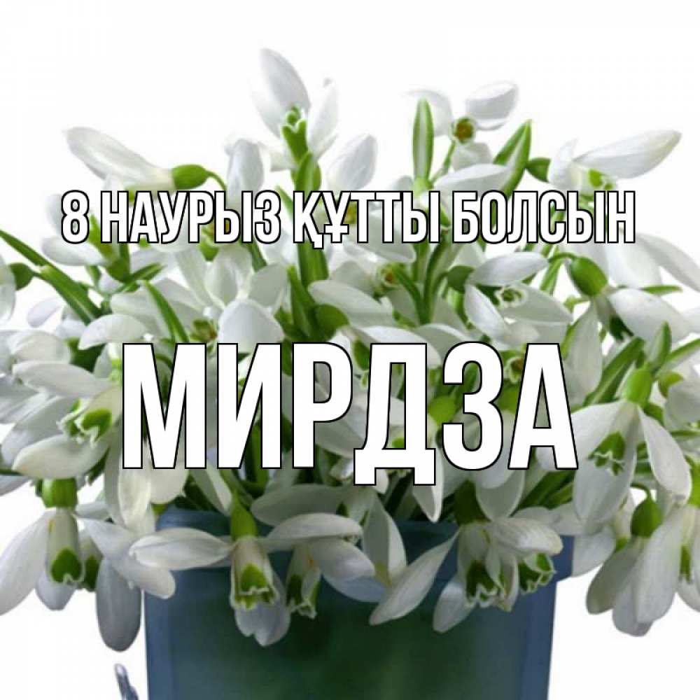 Күн сайын ашық хат с именем, Мирдза 8 наурыз құтты болсын цветы к международному женскому дню Онлайн тегін жүктеп алу тілектері бар керемет карта 