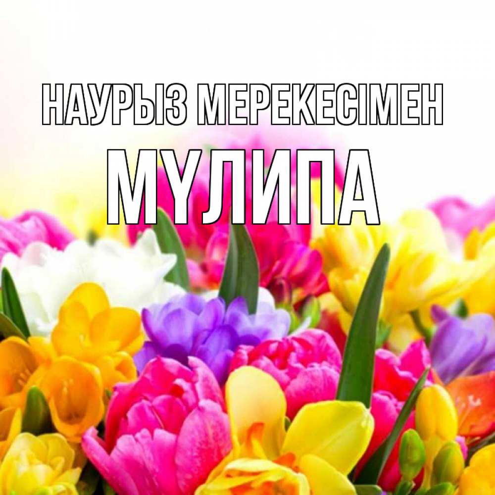 Күн сайын ашық хат с именем, МҮЛИПА Наурыз мерекесімен тюльпаны Онлайн тегін жүктеп алу тілектері бар керемет карта 