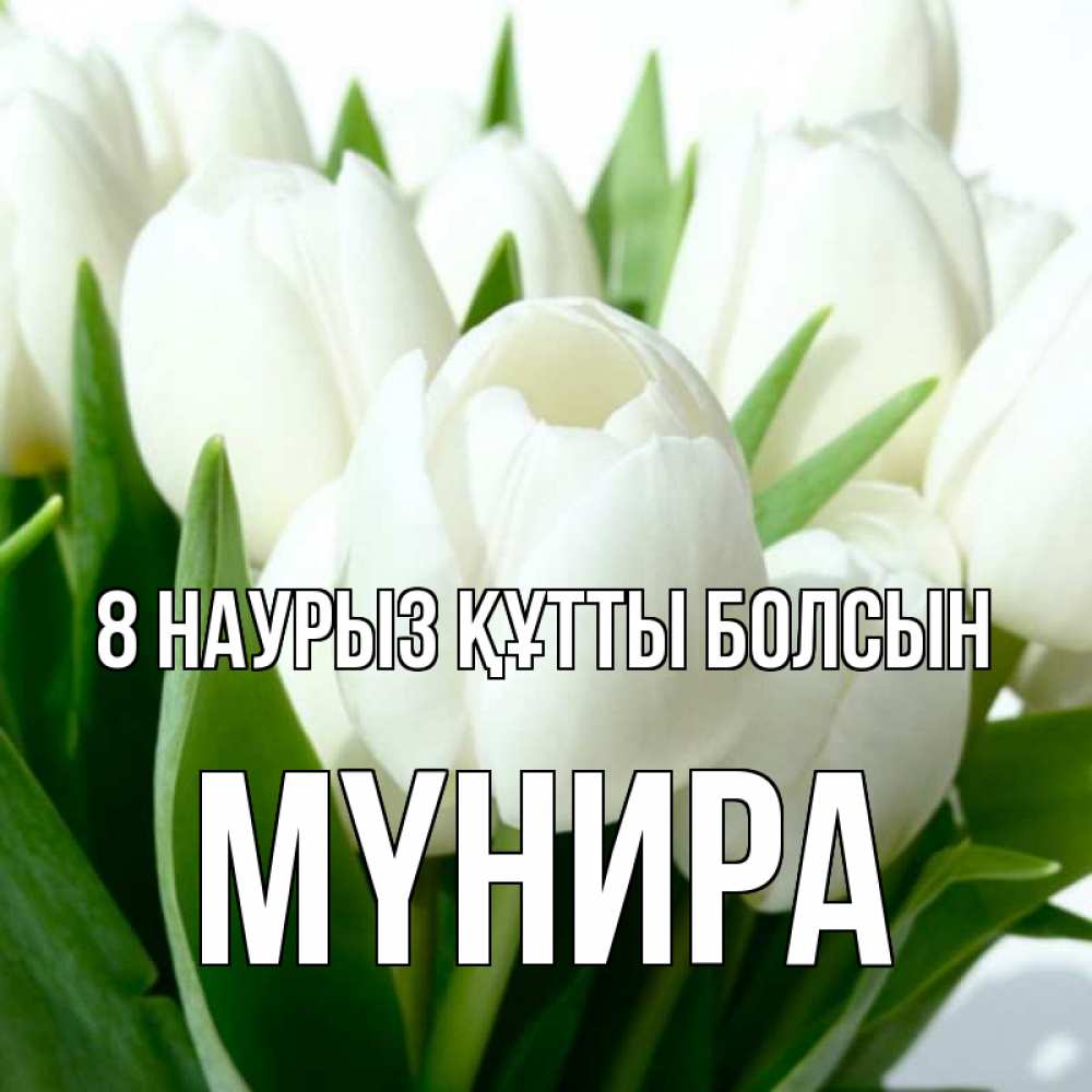 Күн сайын ашық хат с именем, МҮНИРА 8 наурыз құтты болсын цветы Онлайн тегін жүктеп алу тілектері бар керемет карта 