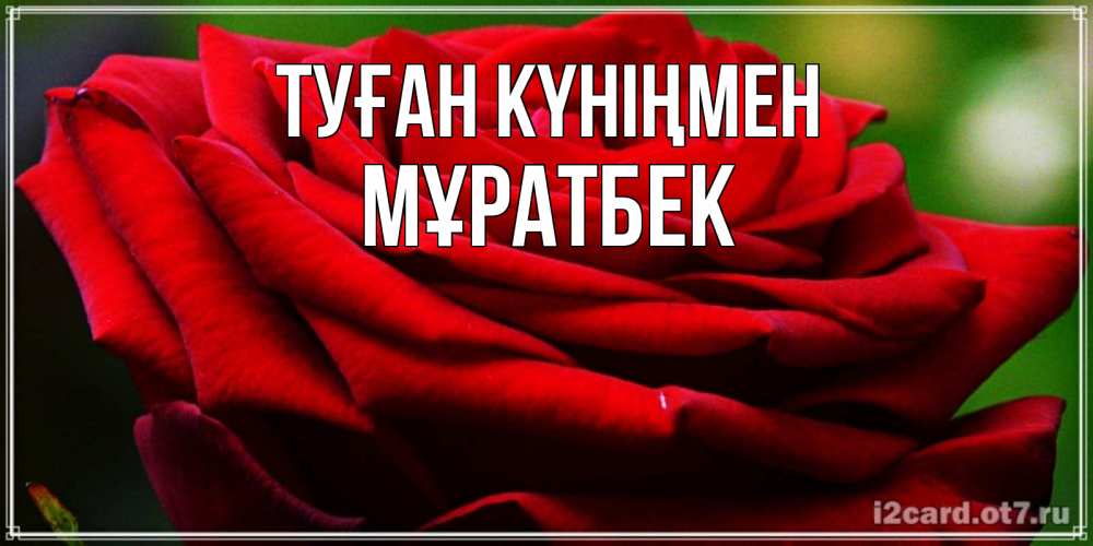 Күн сайын ашық хат с именем, Мұратбек Туған күніңмен розочка очень красивая Онлайн тегін жүктеп алу тілектері бар керемет карта 