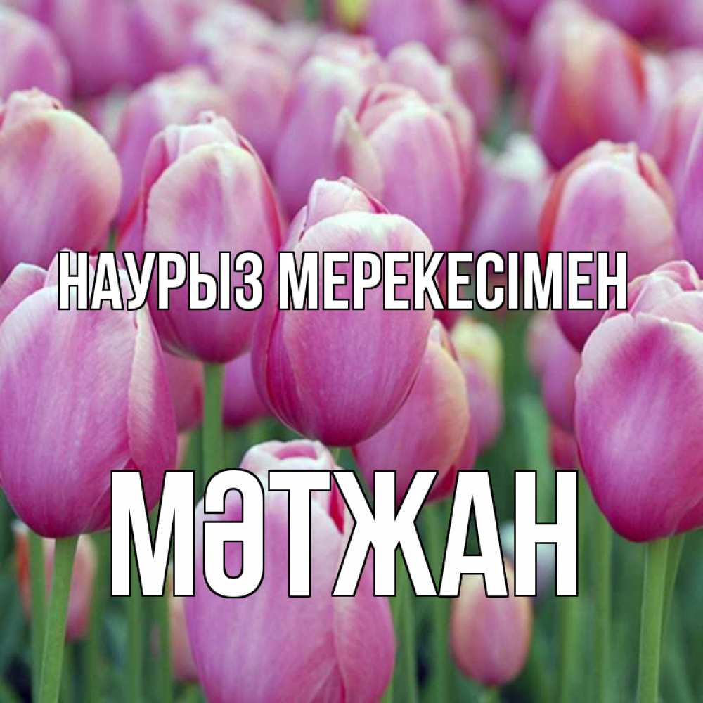 Күн сайын ашық хат с именем, МӘТЖАН Наурыз мерекесімен праздник весны наурыз 69 Онлайн тегін жүктеп алу тілектері бар керемет карта 