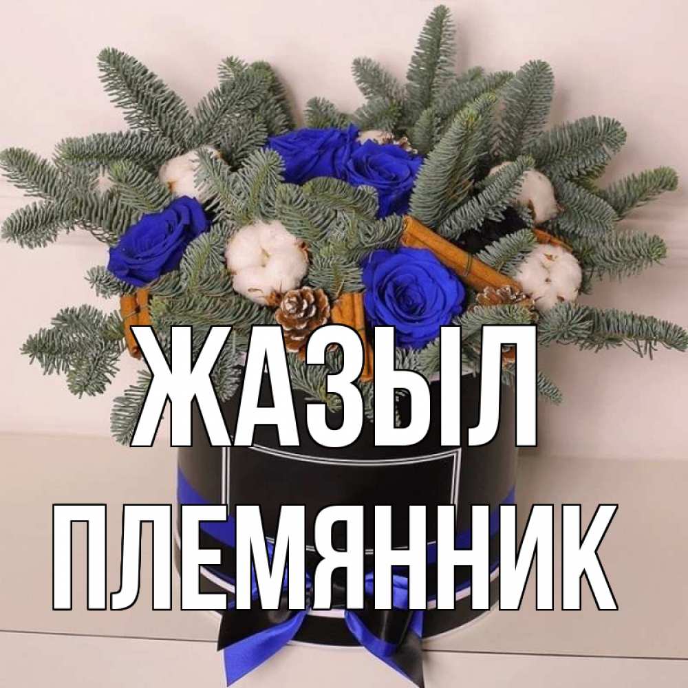 Күн сайын ашық хат с именем, Племянник Жазыл короче кто то загрузил эти шишки Онлайн тегін жүктеп алу тілектері бар керемет карта 
