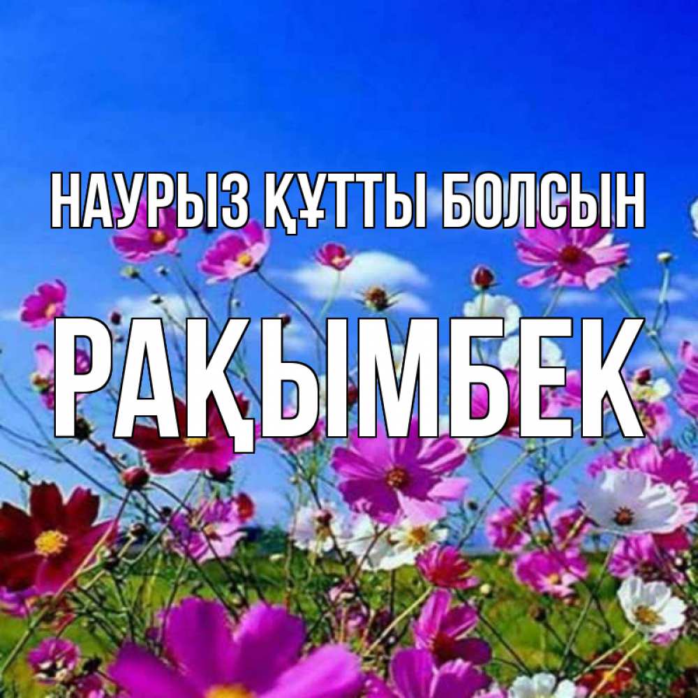 Күн сайын ашық хат с именем, Рақымбек Наурыз құтты болсын цветы Онлайн тегін жүктеп алу тілектері бар керемет карта 
