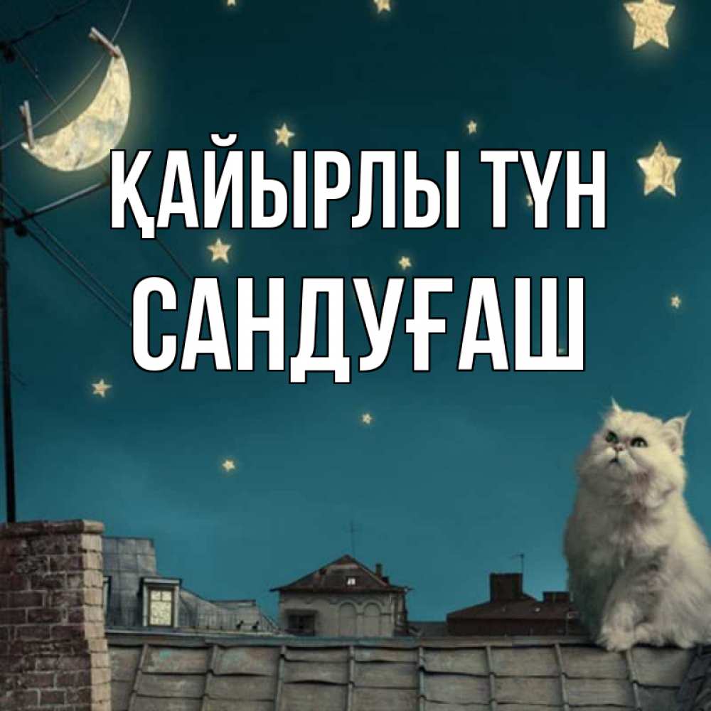 Күн сайын ашық хат с именем, САНДУҒАШ Қайырлы түн белый кот сидит на крыше Онлайн тегін жүктеп алу тілектері бар керемет карта 