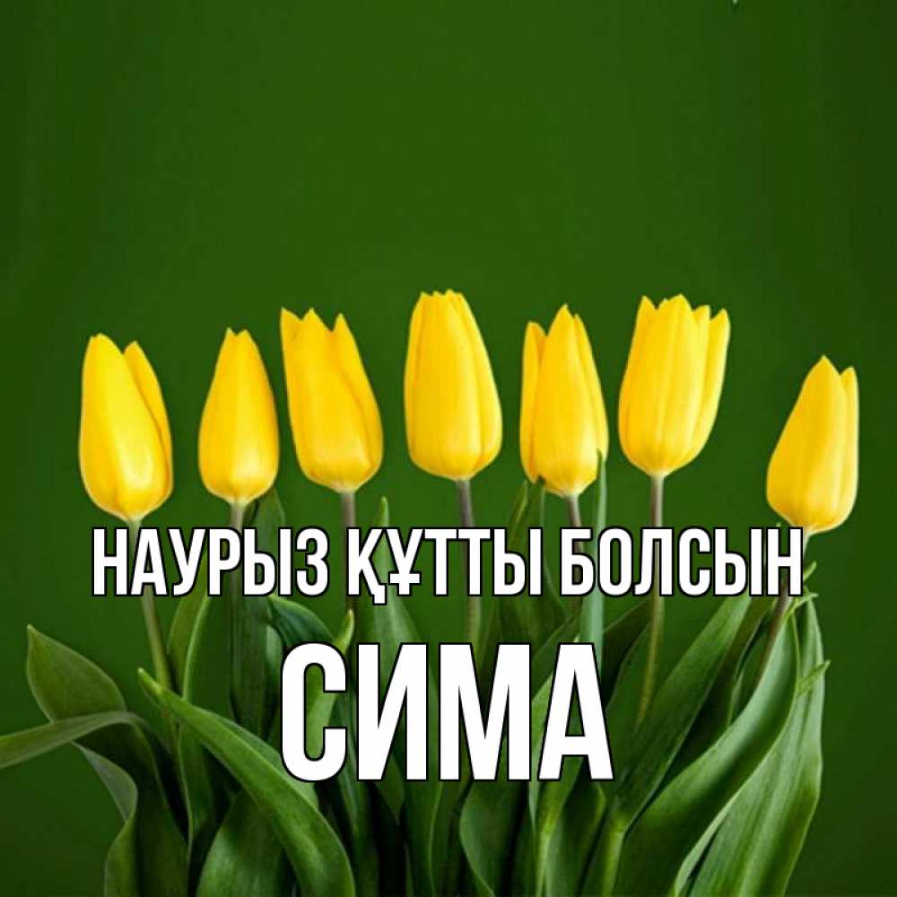 Күн сайын ашық хат с именем, Сима Наурыз құтты болсын желтого цвета 3 Онлайн тегін жүктеп алу тілектері бар керемет карта 