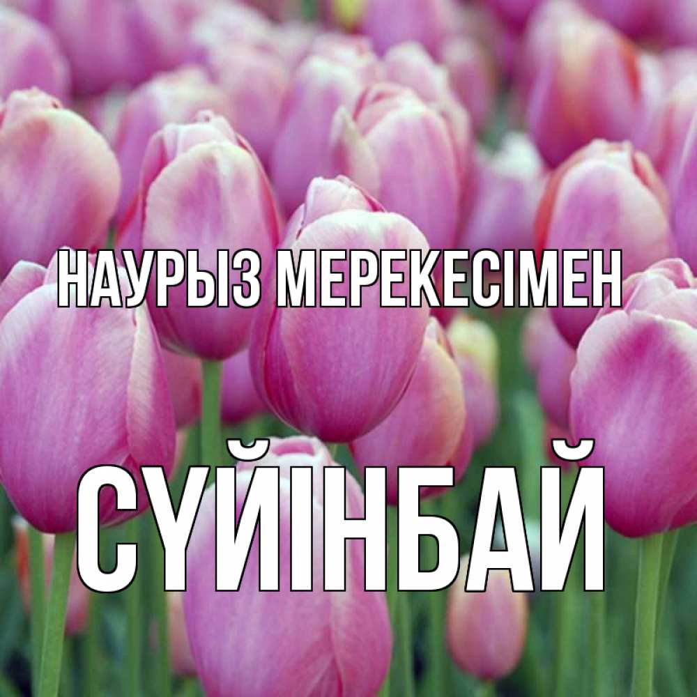 Күн сайын ашық хат с именем, СҮЙІНБАЙ Наурыз мерекесімен праздник весны наурыз 69 Онлайн тегін жүктеп алу тілектері бар керемет карта 