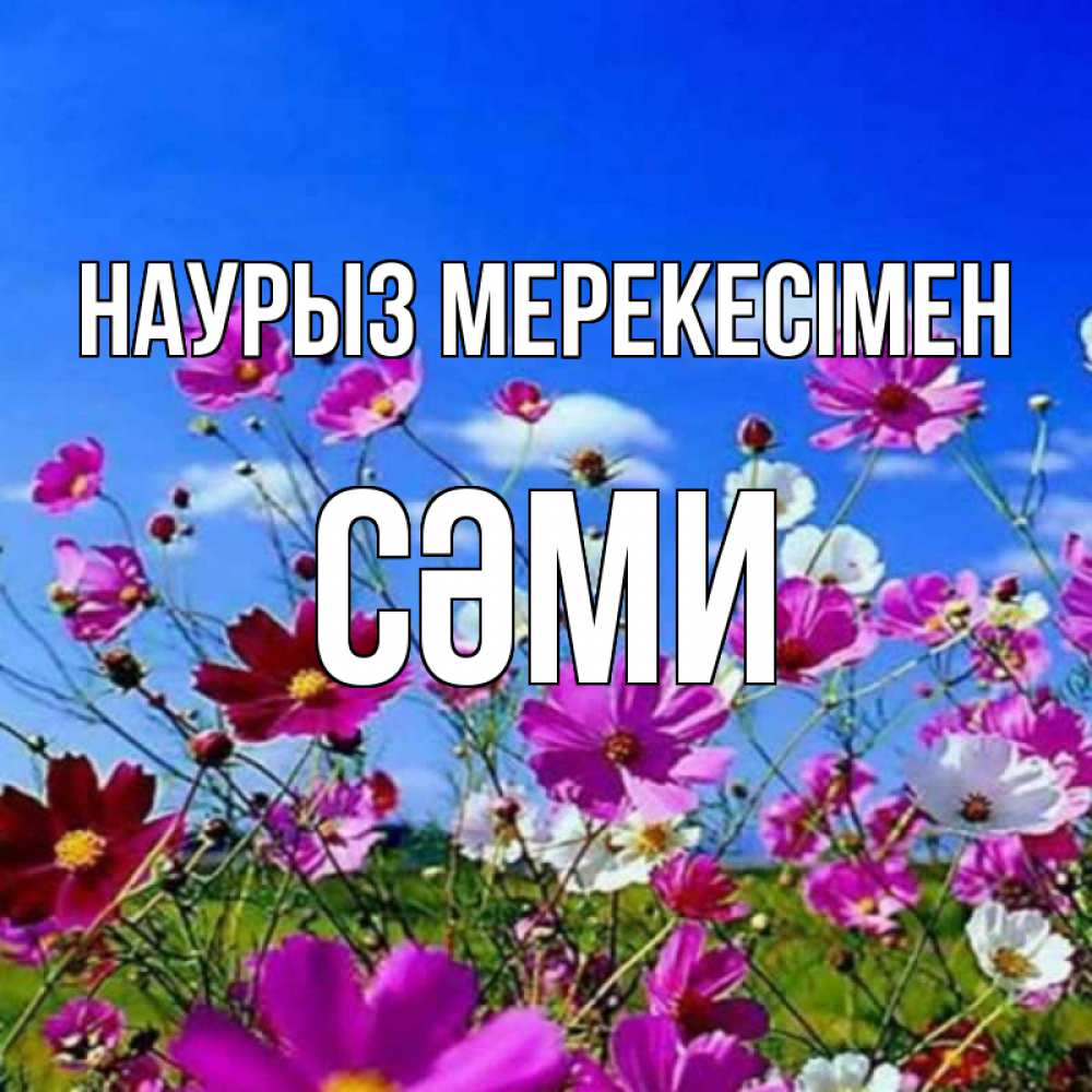 Күн сайын ашық хат с именем, СӘМИ Наурыз мерекесімен цветы Онлайн тегін жүктеп алу тілектері бар керемет карта 