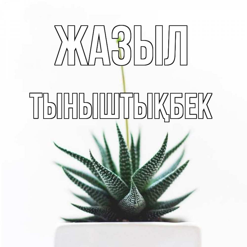 Күн сайын ашық хат с именем, ТЫНЫШТЫҚБЕК Жазыл короче это непонятная колючка Онлайн тегін жүктеп алу тілектері бар керемет карта 