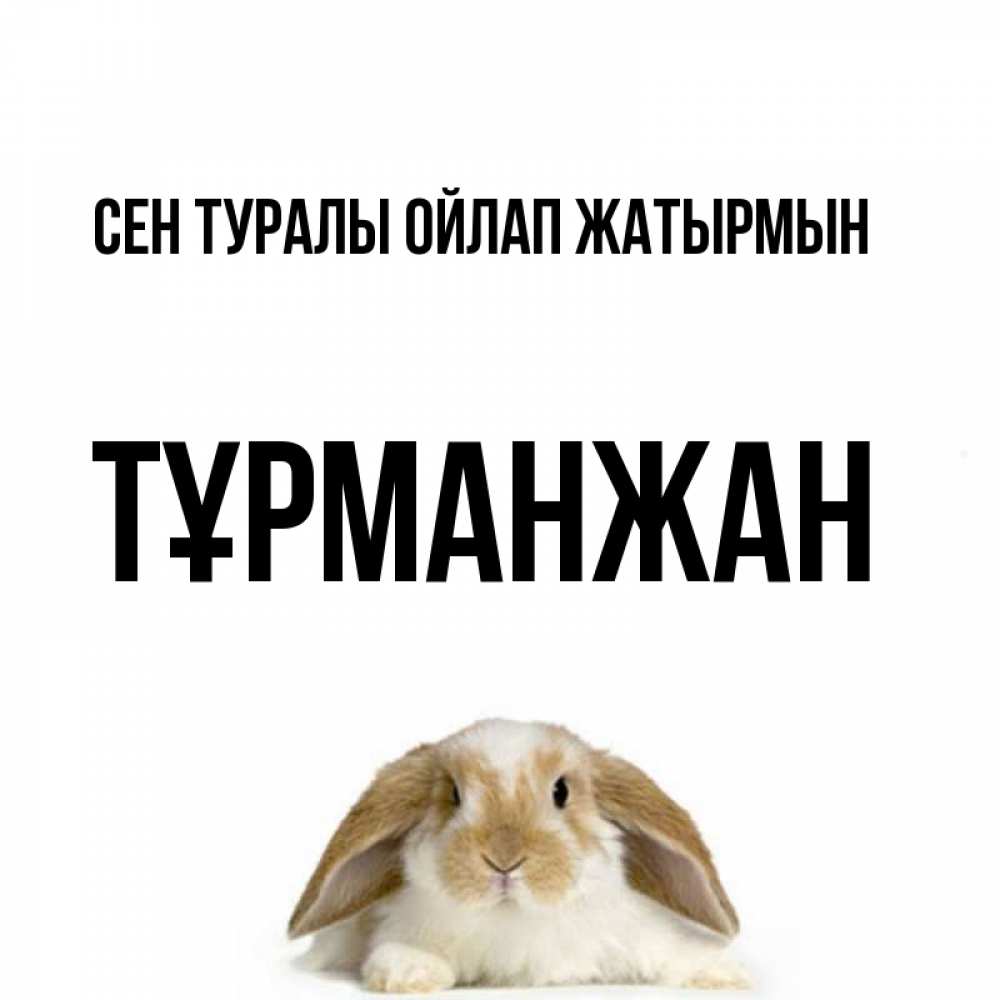 Күн сайын ашық хат с именем, ТҰРМАНЖАН Сен туралы ойлап жатырмын подписать своими руками онлайн Онлайн тегін жүктеп алу тілектері бар керемет карта 