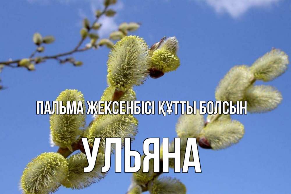 Күн сайын ашық хат с именем, Ульяна Пальма жексенбісі құтты болсын верба Онлайн тегін жүктеп алу тілектері бар керемет карта 