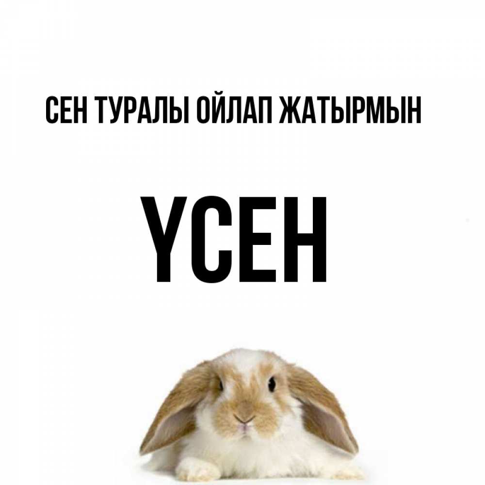 Күн сайын ашық хат с именем, ҮСЕН Сен туралы ойлап жатырмын подписать своими руками онлайн Онлайн тегін жүктеп алу тілектері бар керемет карта 