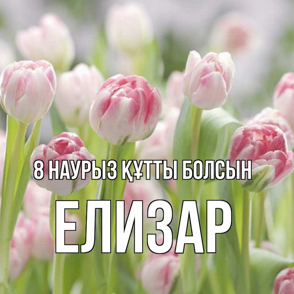 Күн сайын ашық хат с именем, Елизар 8 наурыз құтты болсын цветы Онлайн тегін жүктеп алу тілектері бар керемет карта 