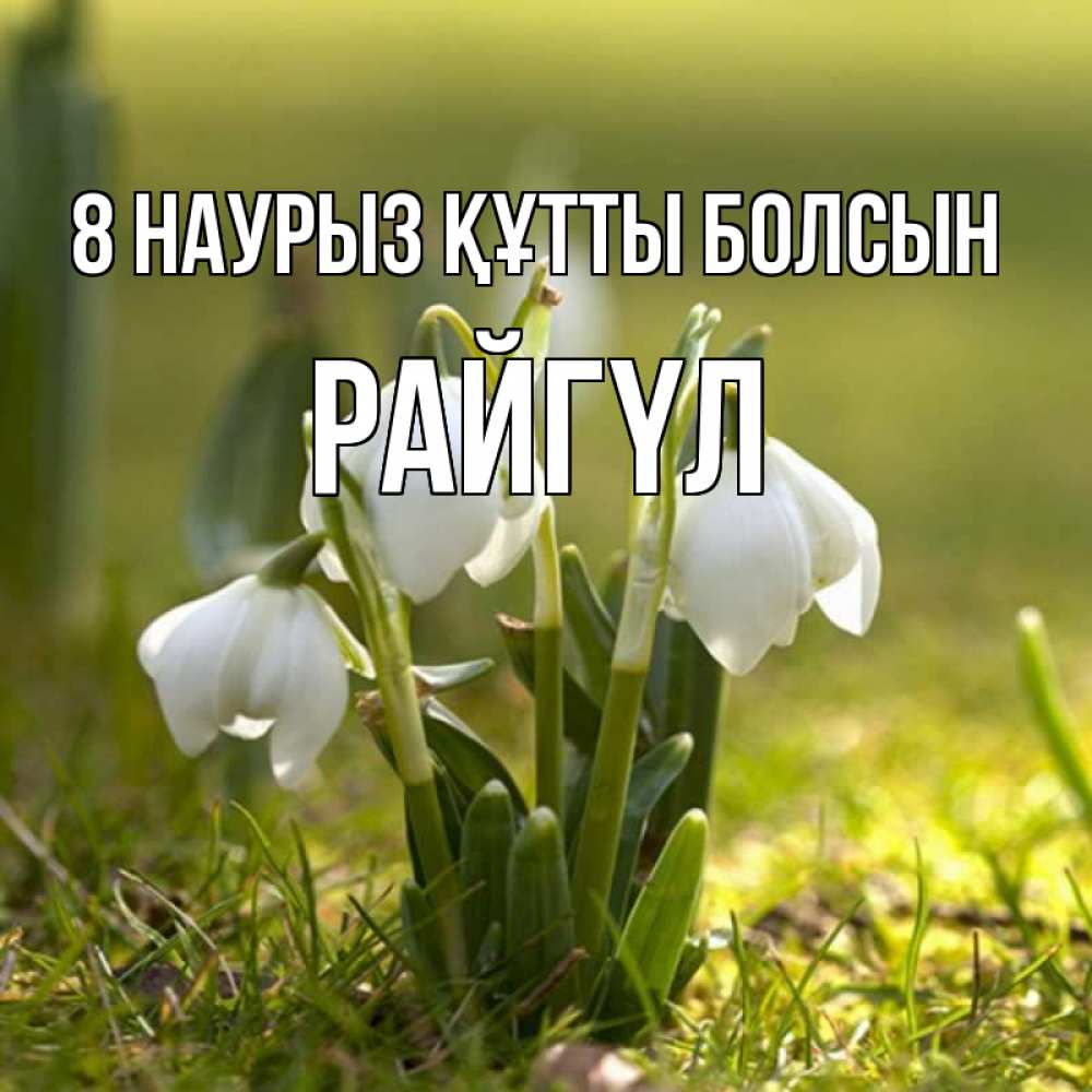 Күн сайын ашық хат с именем, РАЙГҮЛ 8 наурыз құтты болсын ранние цветы 2 Онлайн тегін жүктеп алу тілектері бар керемет карта 