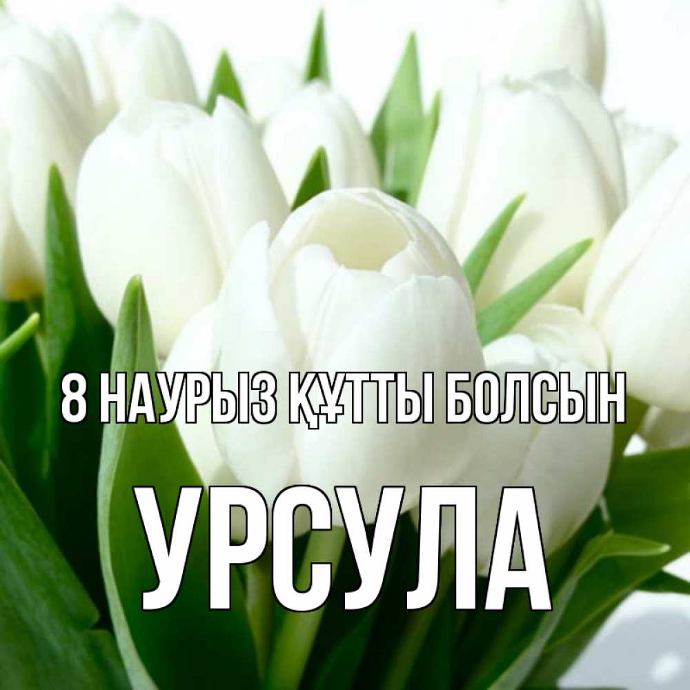 Күн сайын ашық хат с именем, Урсула 8 наурыз құтты болсын цветы Онлайн тегін жүктеп алу тілектері бар керемет карта 