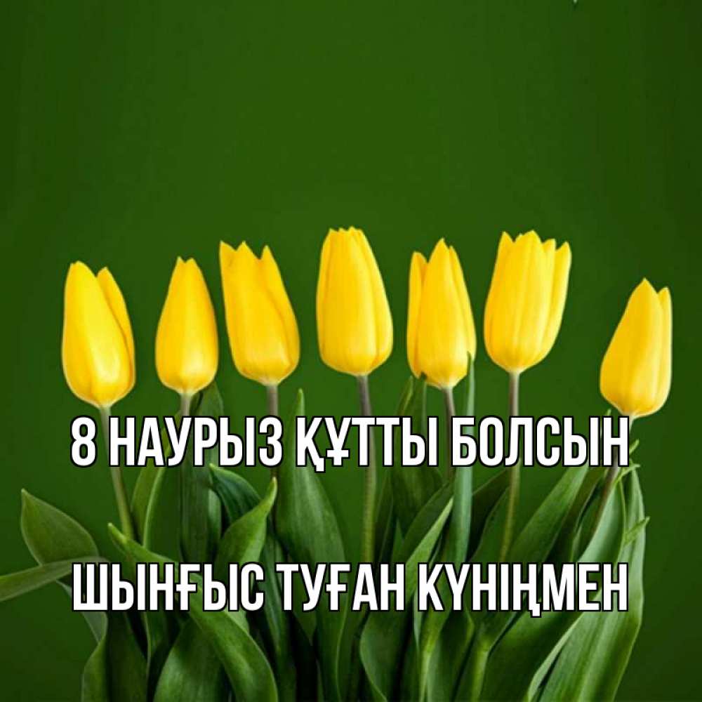 Картинка 8 наурыз құтты болсын, ШЫНҒЫС! ТУҒАН КҮНІҢМЕН!