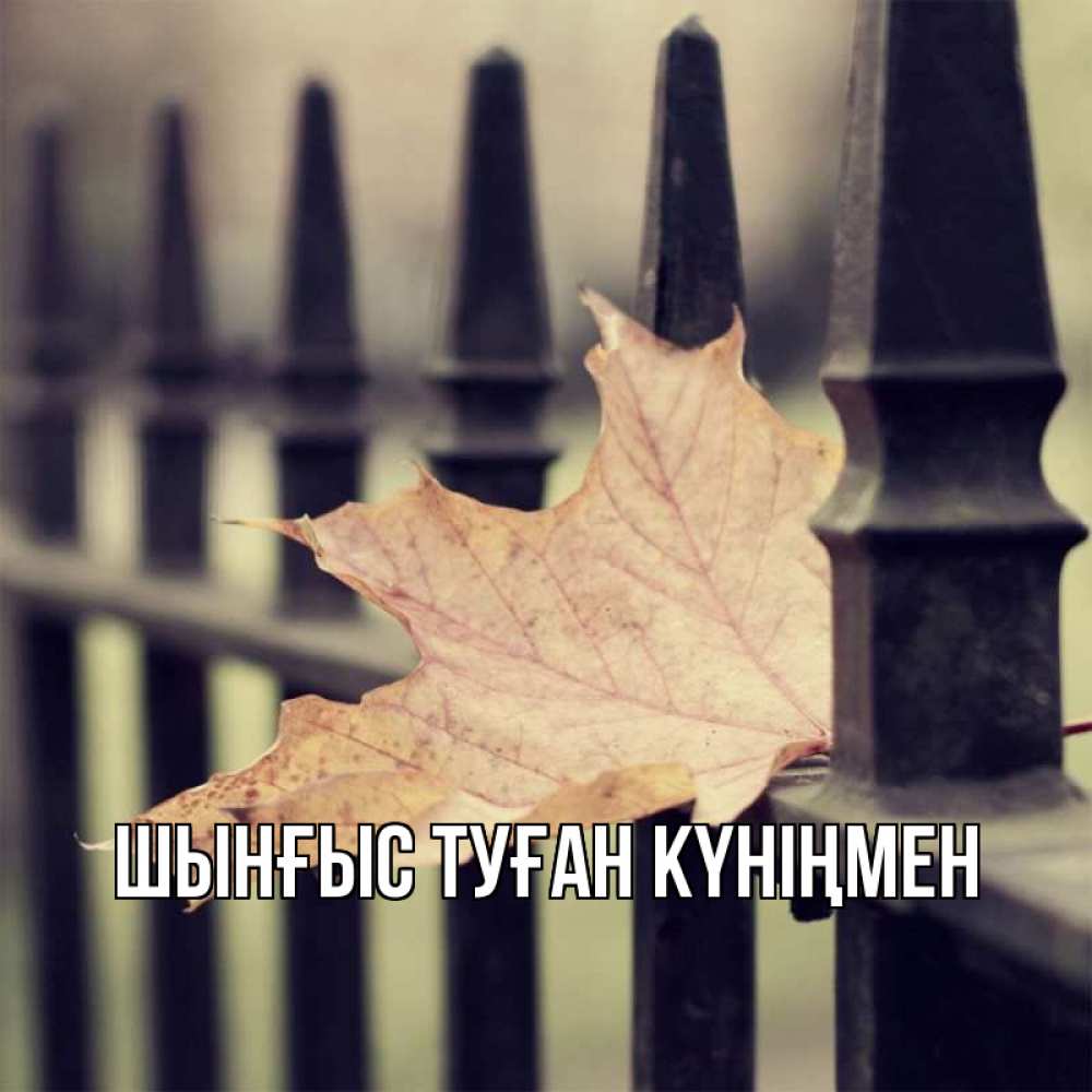 Картинка  с именем , ШЫНҒЫС! ТУҒАН КҮНІҢМЕН!