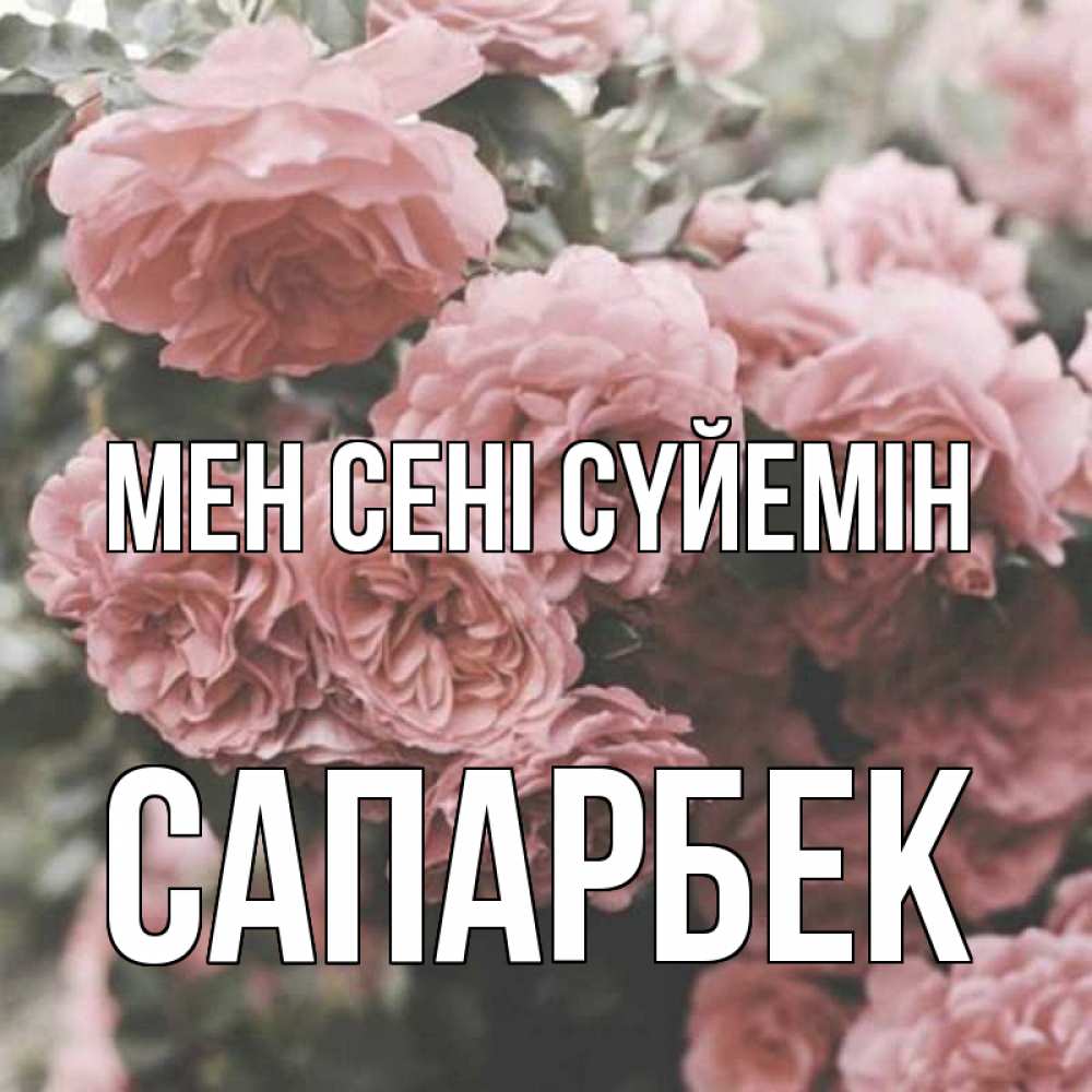 Күн сайын ашық хат с именем, САПАРБЕК Мен сені сүйемін розы 3 Онлайн тегін жүктеп алу тілектері бар керемет карта 