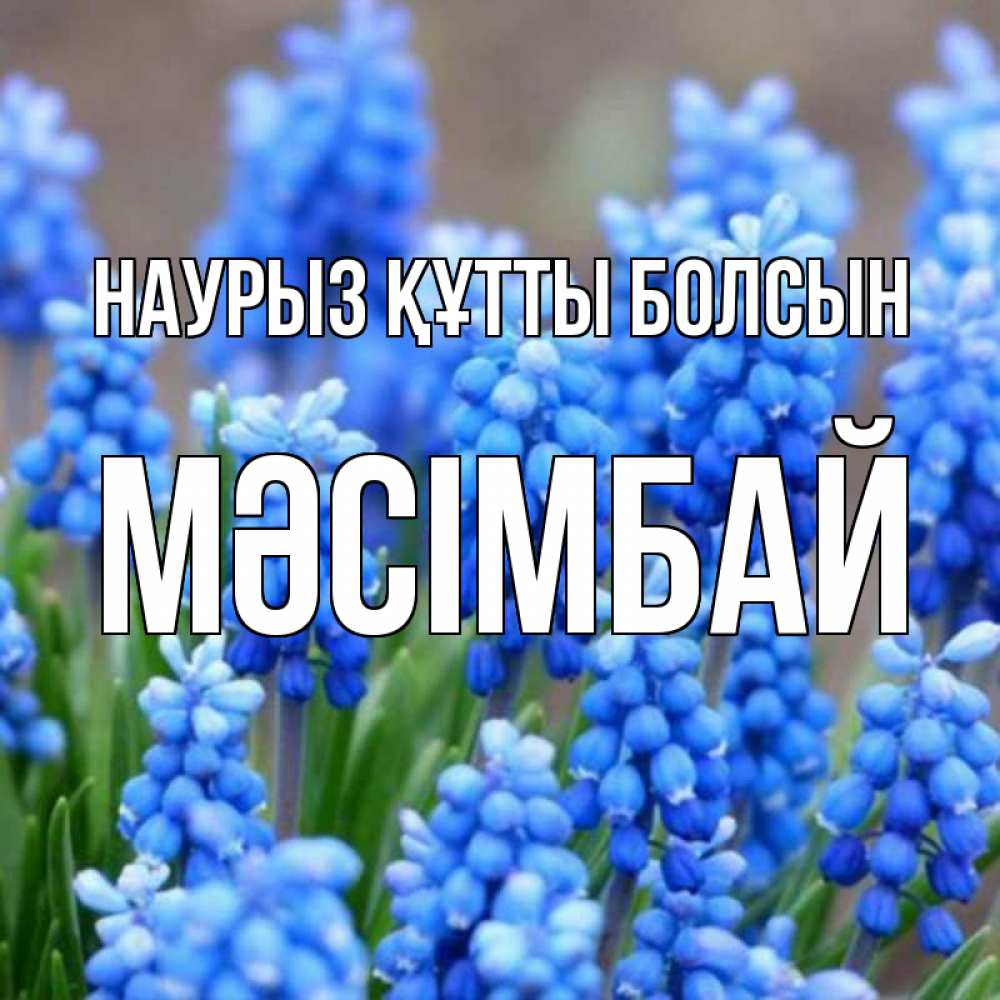 Күн сайын ашық хат с именем, МӘСІМБАЙ Наурыз құтты болсын Поздравительная открытка для женщин с цветами на праздничную дату Онлайн тегін жүктеп алу тілектері бар керемет карта 