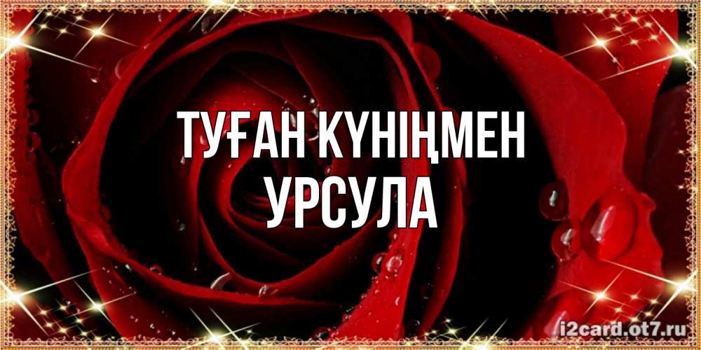 Күн сайын ашық хат с именем, Урсула Туған күніңмен цветок в росе на день рождения Онлайн тегін жүктеп алу тілектері бар керемет карта 