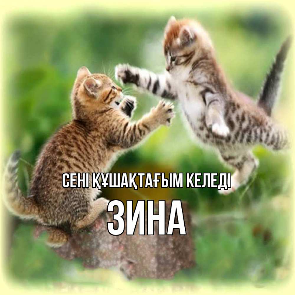 Күн сайын ашық хат с именем, Зина сені құшақтағым келеді игры котят Онлайн тегін жүктеп алу тілектері бар керемет карта 