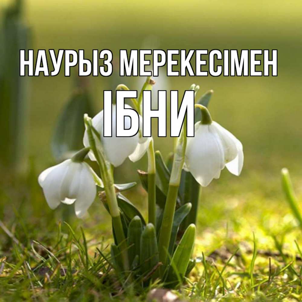 Күн сайын ашық хат с именем, ІБНИ Наурыз мерекесімен ранние цветы 2 Онлайн тегін жүктеп алу тілектері бар керемет карта 