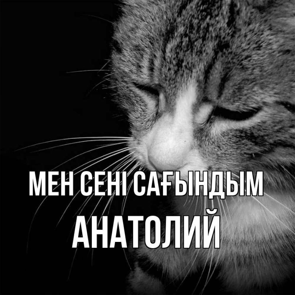 Күн сайын ашық хат с именем, Анатолий Мен сені сағындым мне скучно Онлайн тегін жүктеп алу тілектері бар керемет карта 