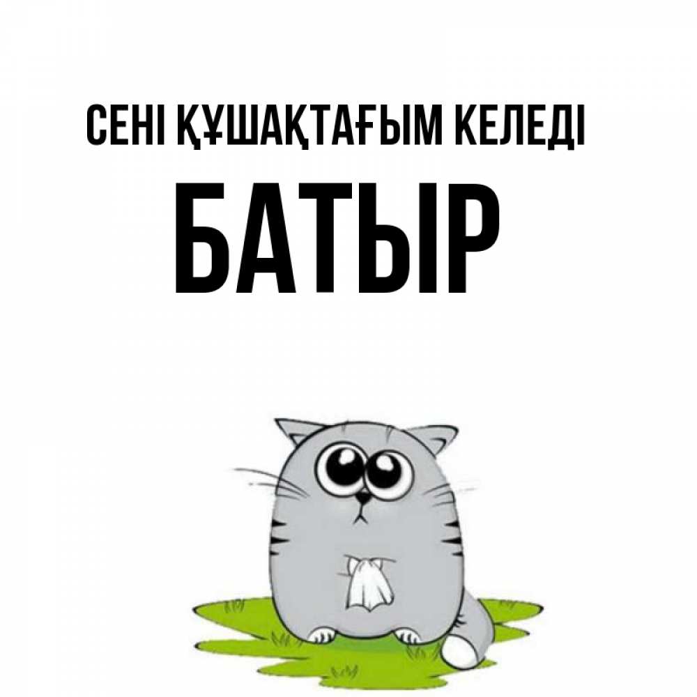 Күн сайын ашық хат с именем, Батыр сені құшақтағым келеді котик теребит платочек сидя на травке Онлайн тегін жүктеп алу тілектері бар керемет карта 