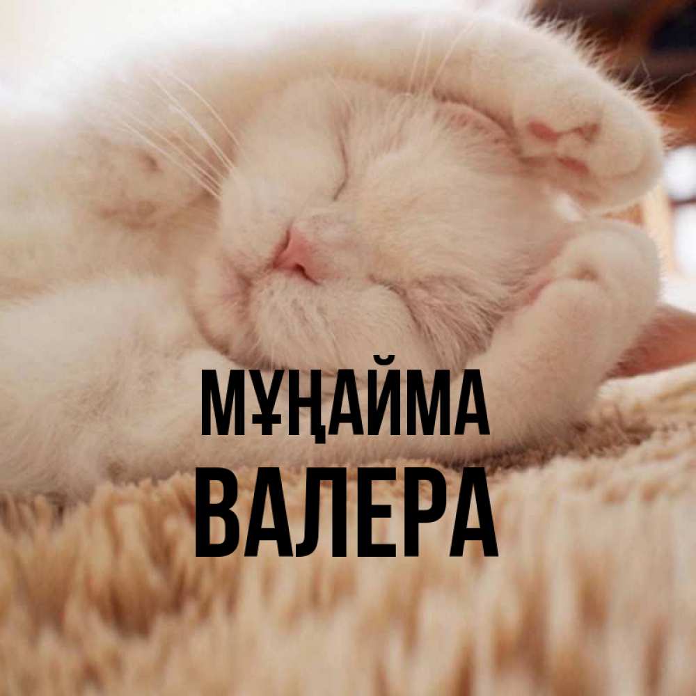 Күн сайын ашық хат с именем, Валера Мұңайма Котенок спит Онлайн тегін жүктеп алу тілектері бар керемет карта 