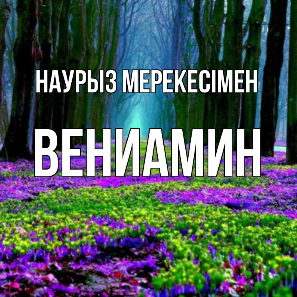 Күн сайын ашық хат с именем, Вениамин Наурыз мерекесімен фиолетовые цветы в лесу 1 Онлайн тегін жүктеп алу тілектері бар керемет карта 