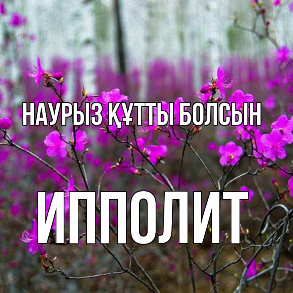 Күн сайын ашық хат с именем, Ипполит Наурыз құтты болсын дикие цветы Онлайн тегін жүктеп алу тілектері бар керемет карта 
