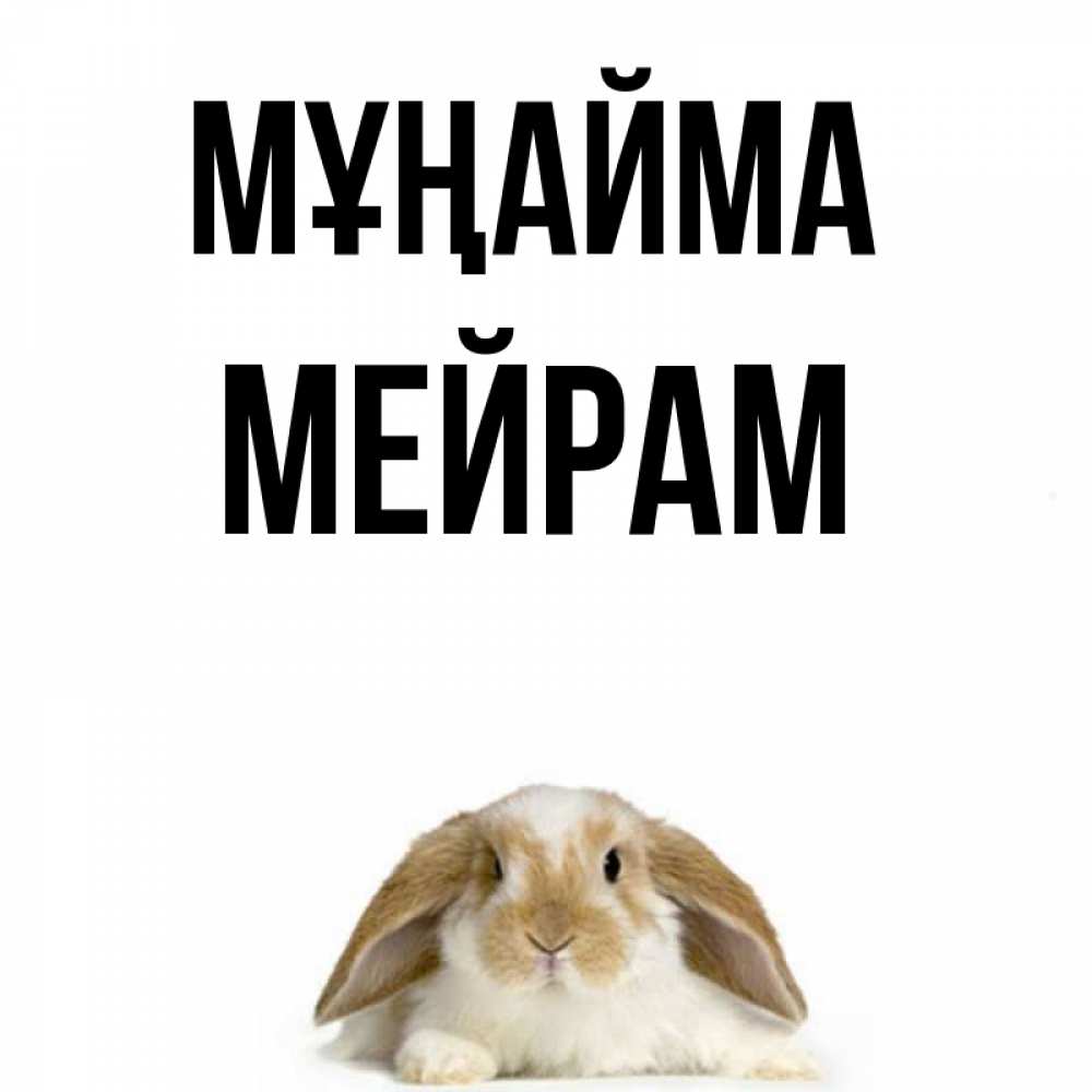 Күн сайын ашық хат с именем, МЕЙРАМ Мұңайма коричнево белый заяц с большими ушками Онлайн тегін жүктеп алу тілектері бар керемет карта 