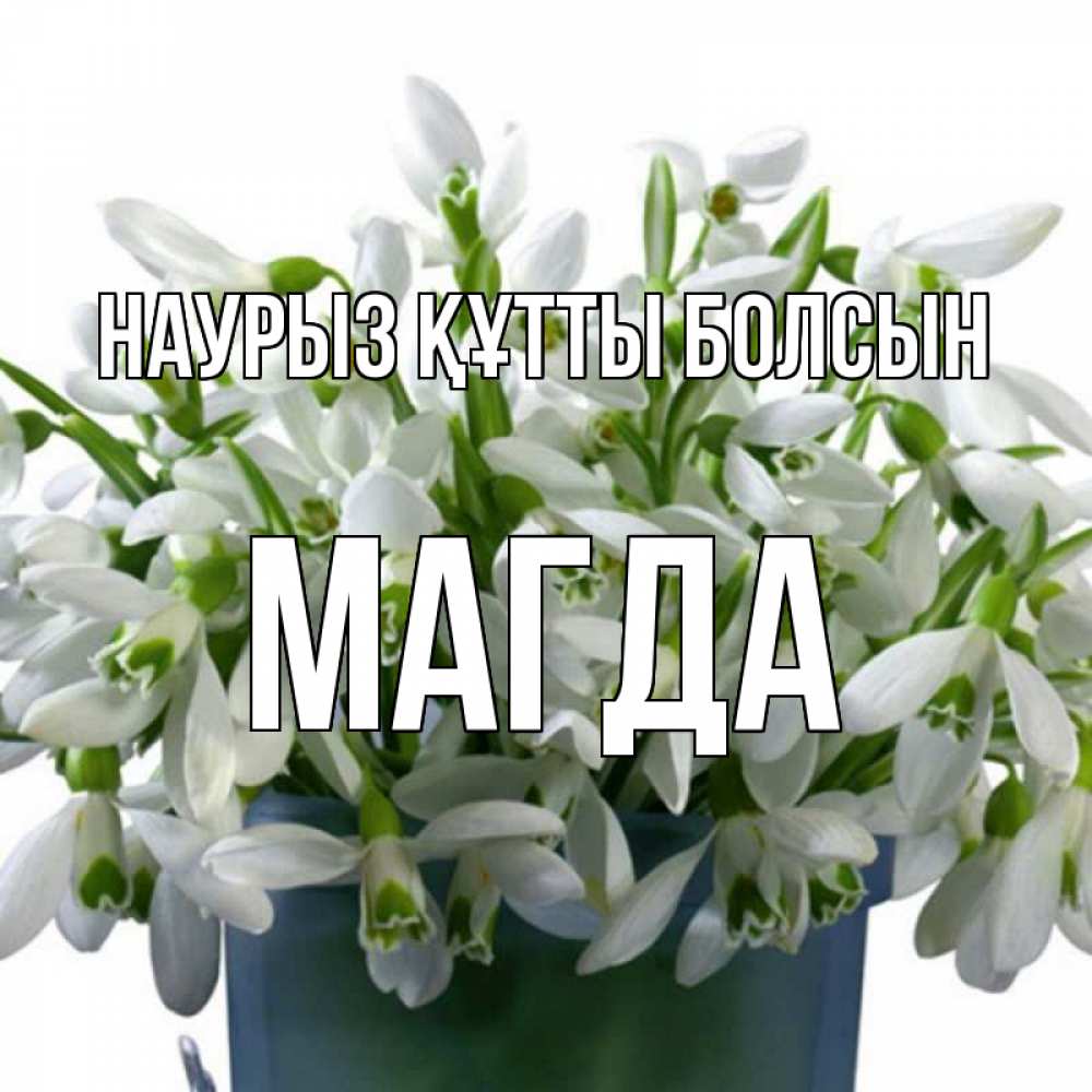 Күн сайын ашық хат с именем, Магда Наурыз құтты болсын цветы к наурызу Онлайн тегін жүктеп алу тілектері бар керемет карта 