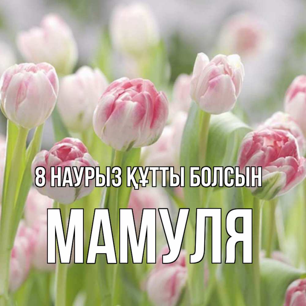 Күн сайын ашық хат с именем, Мамуля 8 наурыз құтты болсын цветы Онлайн тегін жүктеп алу тілектері бар керемет карта 