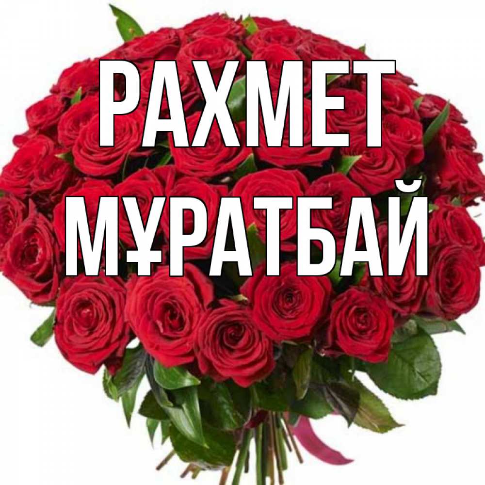 Күн сайын ашық хат с именем, Мұратбай рахмет букет красных роз Онлайн тегін жүктеп алу тілектері бар керемет карта 