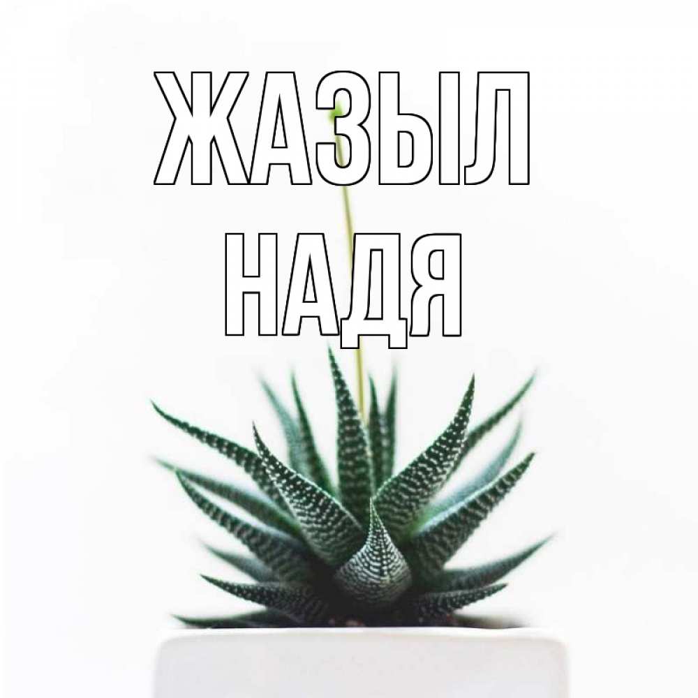 Күн сайын ашық хат с именем, Надя Жазыл короче это непонятная колючка Онлайн тегін жүктеп алу тілектері бар керемет карта 