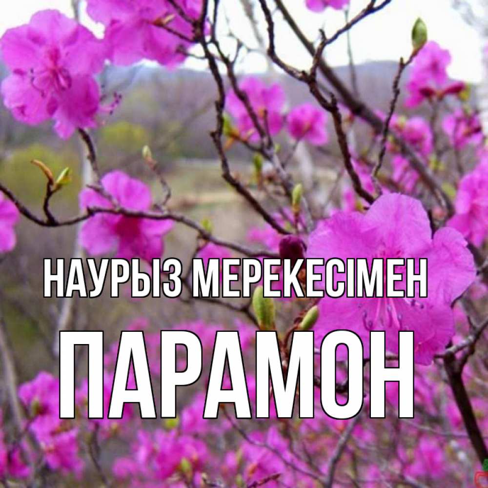 Күн сайын ашық хат с именем, Парамон Наурыз мерекесімен праздник весны наурыз Онлайн тегін жүктеп алу тілектері бар керемет карта 