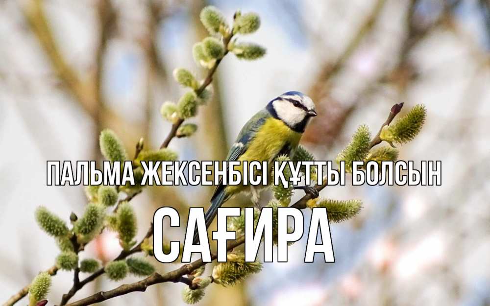 Күн сайын ашық хат с именем, САҒИРА Пальма жексенбісі құтты болсын верба Онлайн тегін жүктеп алу тілектері бар керемет карта 