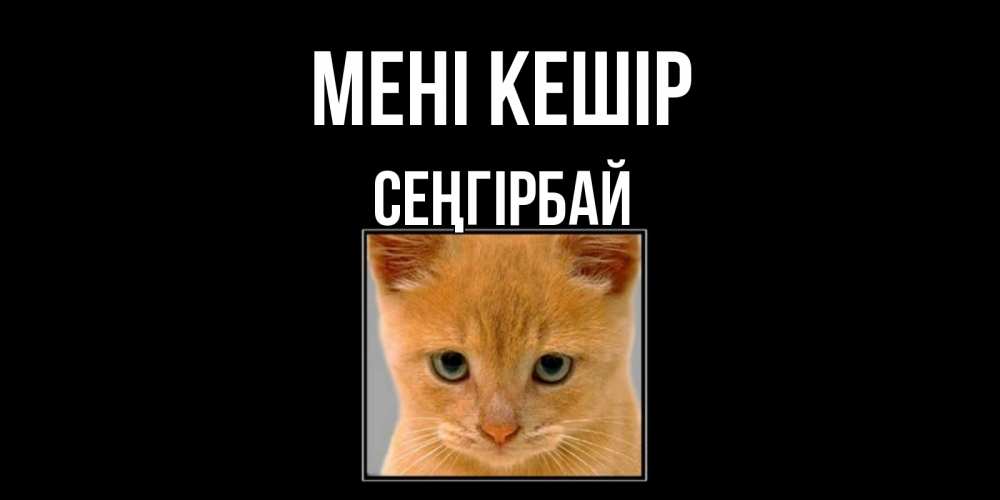 Күн сайын ашық хат с именем, СЕҢГІРБАЙ Мені кешір рыжий грустный кот просит прощения Онлайн тегін жүктеп алу тілектері бар керемет карта 