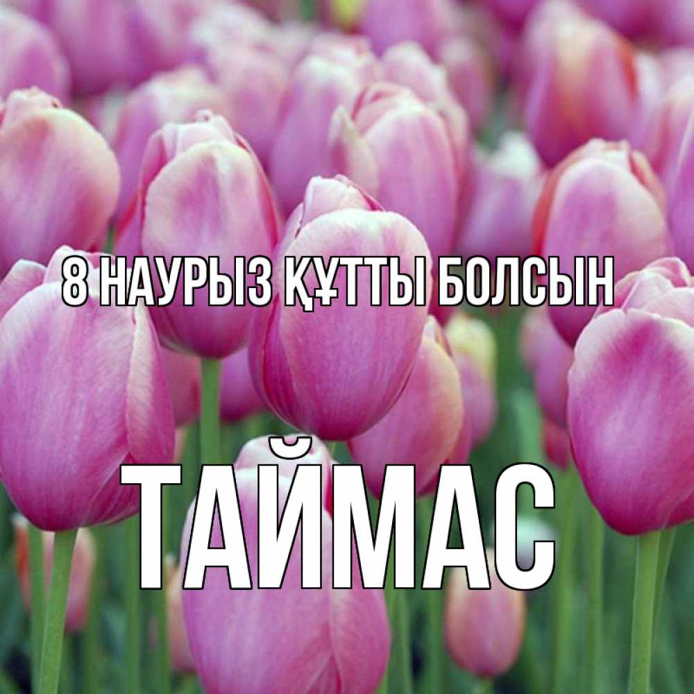 Күн сайын ашық хат с именем, ТАЙМАС 8 наурыз құтты болсын на международный женский день 3 Онлайн тегін жүктеп алу тілектері бар керемет карта 
