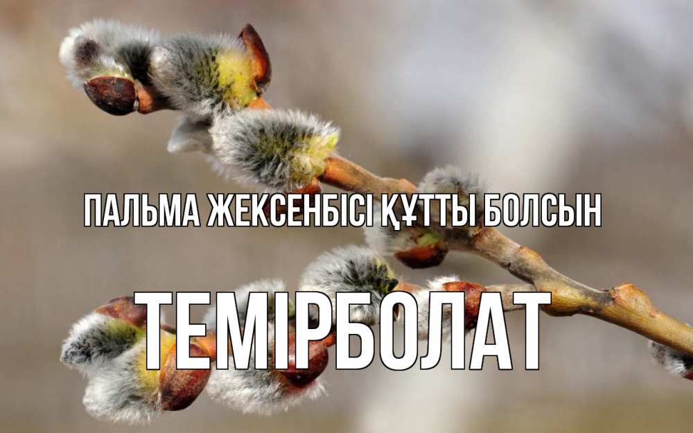 Күн сайын ашық хат с именем, ТЕМІРБОЛАТ Пальма жексенбісі құтты болсын Верба Онлайн тегін жүктеп алу тілектері бар керемет карта 