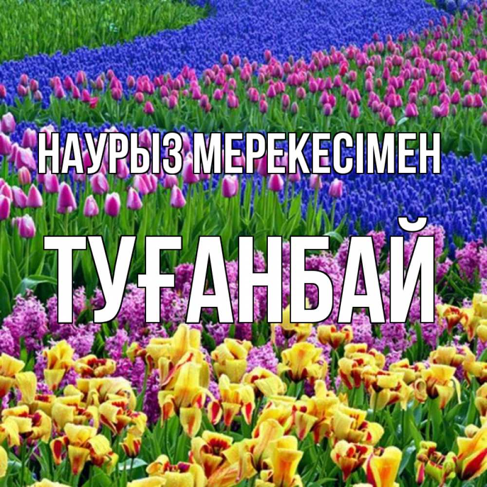Күн сайын ашық хат с именем, ТУҒАНБАЙ Наурыз мерекесімен цветы Онлайн тегін жүктеп алу тілектері бар керемет карта 
