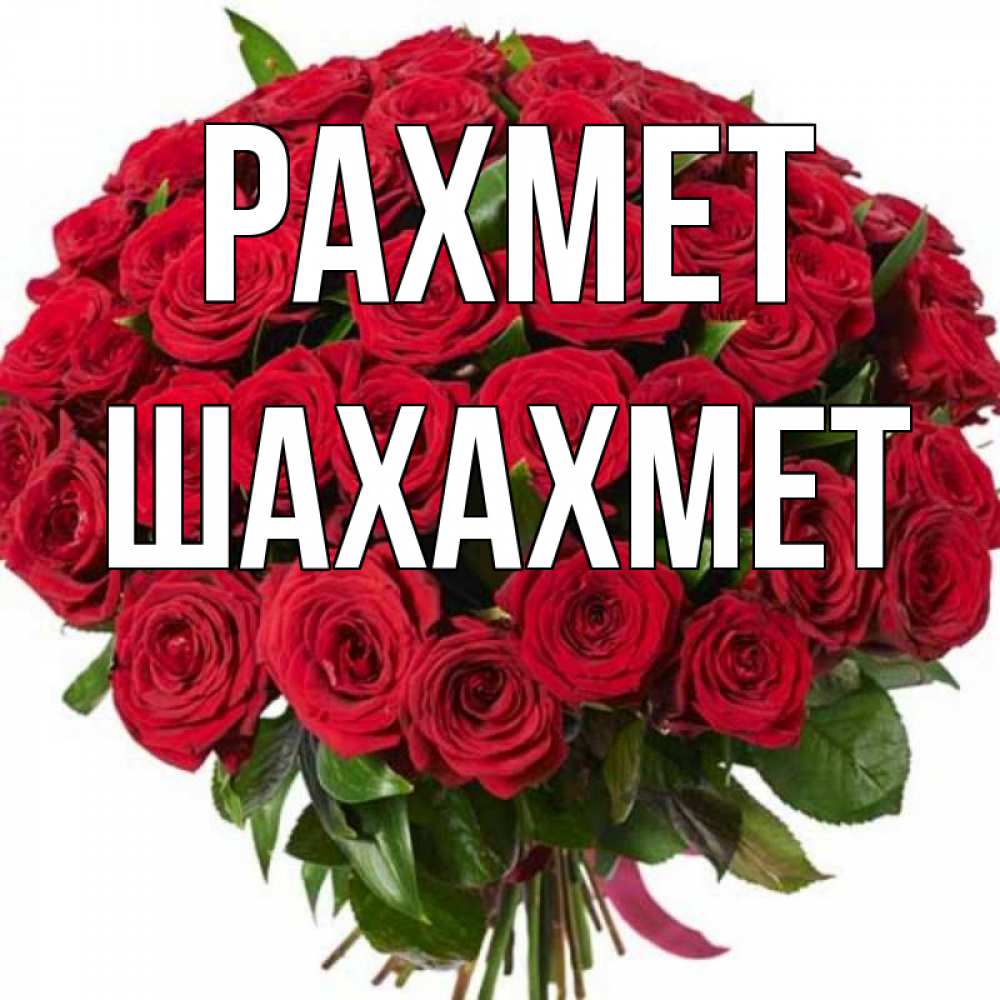 Күн сайын ашық хат с именем, ШАХАХМЕТ рахмет букет красных роз Онлайн тегін жүктеп алу тілектері бар керемет карта 