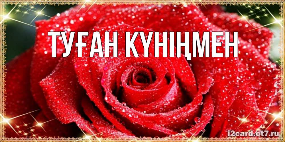 Күн сайын ашық хат с именем, выберите-имя Туған күніңмен роса и роза. открытка с красивой розой Онлайн тегін жүктеп алу тілектері бар керемет карта 