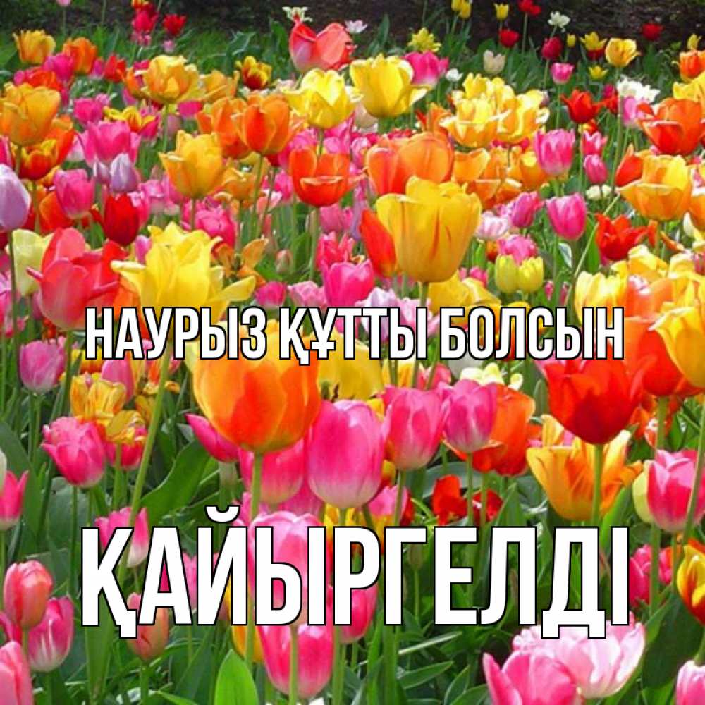 Күн сайын ашық хат с именем, Қайыргелді Наурыз құтты болсын на наурыз  ура ура Онлайн тегін жүктеп алу тілектері бар керемет карта 